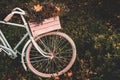 Old bicycle in the garden with flowers box Royalty Free Stock Photo