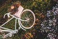 Old bicycle in the garden with flowers box Royalty Free Stock Photo