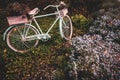 Old bicycle in the garden with flowers box Royalty Free Stock Photo