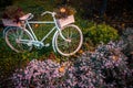 Old bicycle in the garden with flowers box Royalty Free Stock Photo