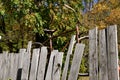 Old bike suspended on a fence