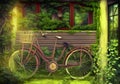 Illustration of an Old Red Bicycle Resting Against an Overgrown Garden House.