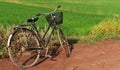 Old bicycle and orange basket on soil and mud road in countryside in morning after raining in last night Royalty Free Stock Photo