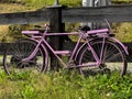 An old bicycle, painted in a bright solid color, stands by the fence as a decorative element