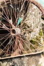 Old bicycle wheel at the dump, scrap metal from household waste, recyclable secondary resources