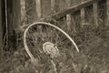 Old bicycle wheel in the grass Royalty Free Stock Photo