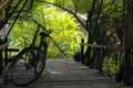 an old bicycle on the wood bridge