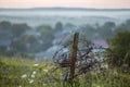 Old big barbed wire coiled on rusty pole, broken garden fence on grassy blooming hill on misty light sky at dawn or evening and bl