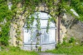 Old big blue wooden door or gate in the wall covered with green ivy, climbing plant in park, nature concept Royalty Free Stock Photo