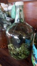 Hand made glass jar with herbs