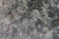 An old big mossy rock texture. Organic abstract background in grey color palette. Natural stone close up.