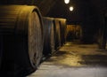 Old big oak barrels in winery cellar Royalty Free Stock Photo