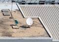 Old big telecommunication satellite dish. Royalty Free Stock Photo