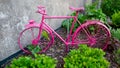 Pink bicycle in front of grey wall surrounded by green bushes