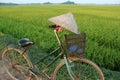 Old bike cycle and conical hat