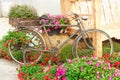Old bike and decorated with flowers Royalty Free Stock Photo