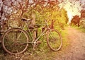 Old bike at the fence. village Street Royalty Free Stock Photo