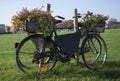 Old bike with flowers Royalty Free Stock Photo