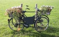 Old bike with flowers Royalty Free Stock Photo