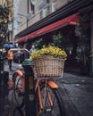 Old bike with a basket full of flowers Royalty Free Stock Photo