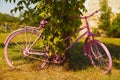 Decoration. An old bike painted pink stands leaning against a tr Royalty Free Stock Photo