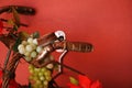 OLD BIKE IN RED WALL Royalty Free Stock Photo