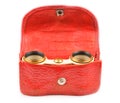 Old binoculars and a red leather case Royalty Free Stock Photo