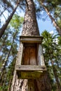 Old bird feeder lying on the forest litter. Wooden birdhouse