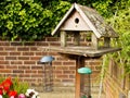Old bird table Royalty Free Stock Photo