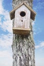 Old birdhouse hanging on the stem