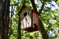 Old birdhouse in the middle of the forest