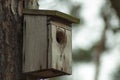 Old birdhouse in tehe wood. Royalty Free Stock Photo