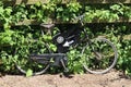 An old black bicycle leaning against the fence points the way to a cycle hire and repair shop in Topsham Devon, England Royalty Free Stock Photo