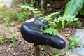 Old black Bicycle saddle with tree. Royalty Free Stock Photo