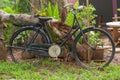 Old black bike in the garden