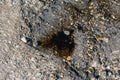 Old black car oil spilled on the ground Royalty Free Stock Photo