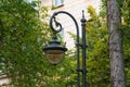 Old black cast iron lantern with round lampshade in park against background of green trees Royalty Free Stock Photo