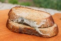 The old black mold on the bread. Royalty Free Stock Photo