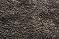 Old black plaster wall texture. Royalty Free Stock Photo