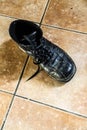 Old black used shoe