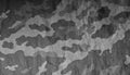 Old black and white camouflage cloth pattern. Royalty Free Stock Photo