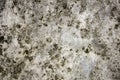 A old black white concrete wall with cracks. concrete surface with moss and mold. rough texture