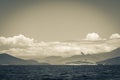 Panorama of tropical islands Ilha Grande Angra dos Reis Brazil Royalty Free Stock Photo