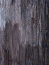 Old black wood texture background