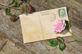 Old blank vintage postcard with old stamp is on old wood with pink rose and nib Royalty Free Stock Photo