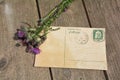 Old blank vintage postcard with old stamp is on old wood with pink rose and nib Royalty Free Stock Photo