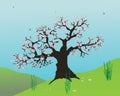 Old blossomtree in a landscape with hills. In the sky are birds. Royalty Free Stock Photo