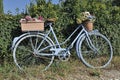 Old blue bike with basket