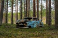 Old blue car wreck standing in a forest in Sweden Royalty Free Stock Photo