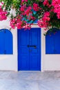 Old blue door and pink flowers, traditional Greek architecture, Santorini island, Greece. Royalty Free Stock Photo